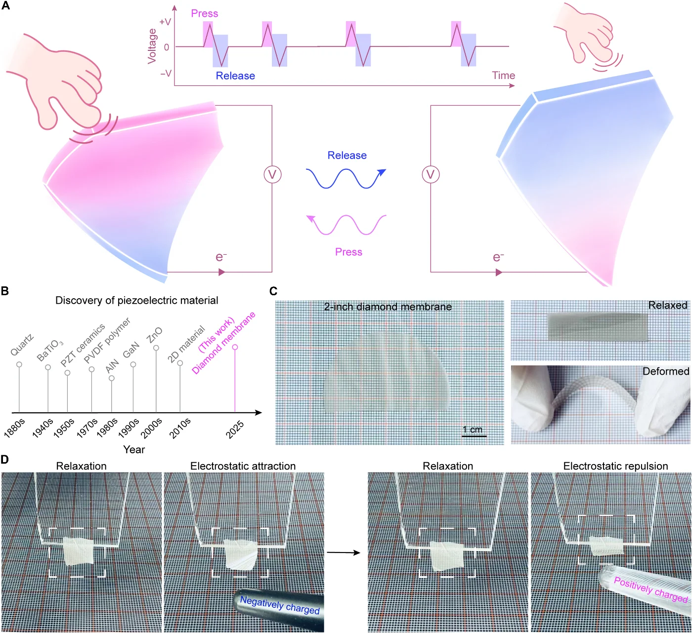 HKU Researchers Uncover Piezoelectric Characteristics in Ultrathin Polycrystalline Diamond Membranes via Symmetry-Breaking Grain Boundaries.