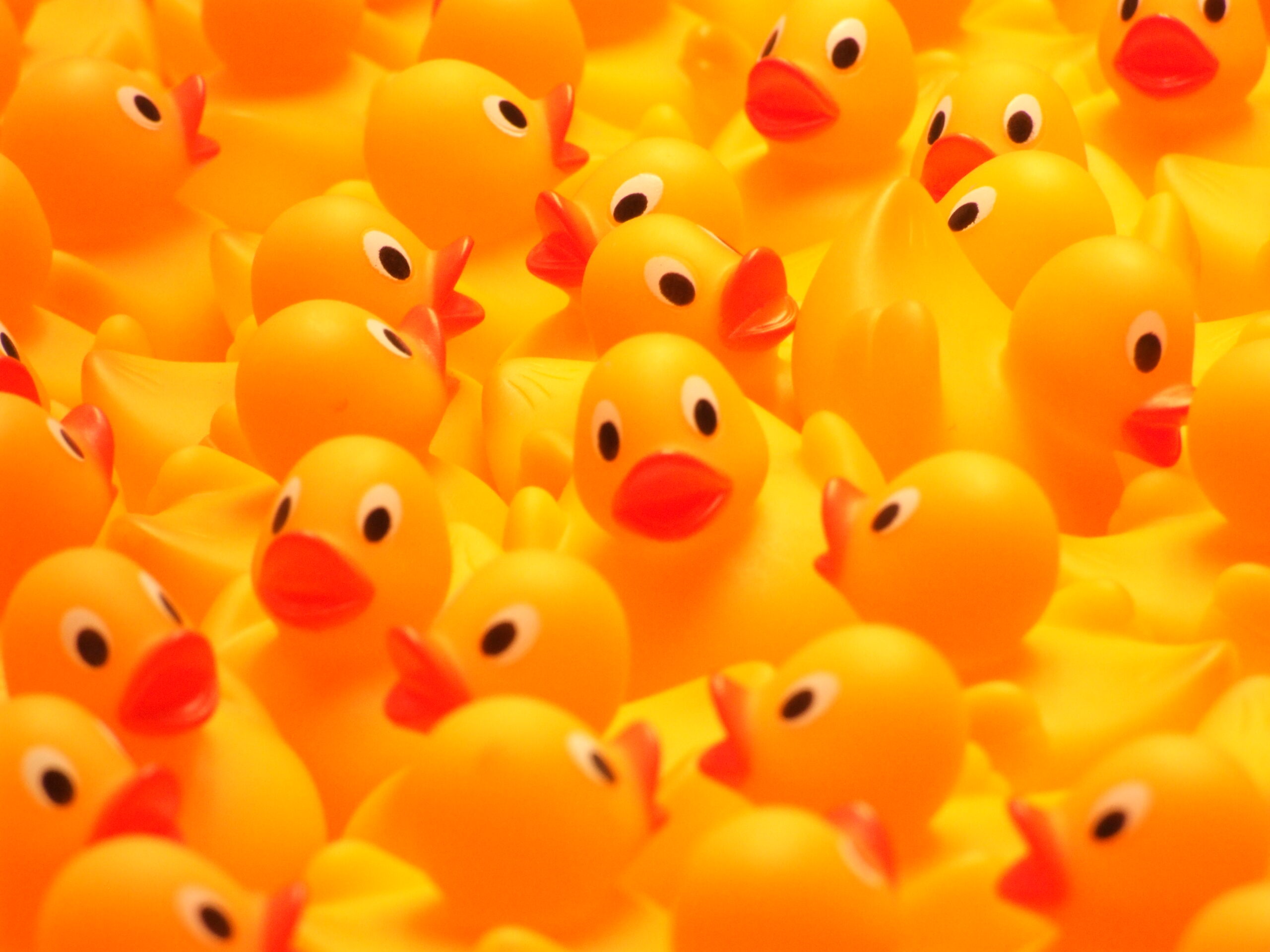 In 1992, a container vessel released 28,800 plastic bath toys into the North Pacific; an oceanographer monitors their voyage across oceans for two decades.