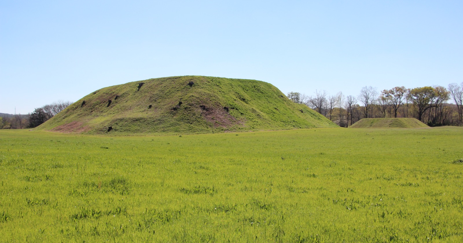 Initial Proof of Cacao Usage in Mississippian Society Discovered in Ancient DNA from Etowah Ceramics