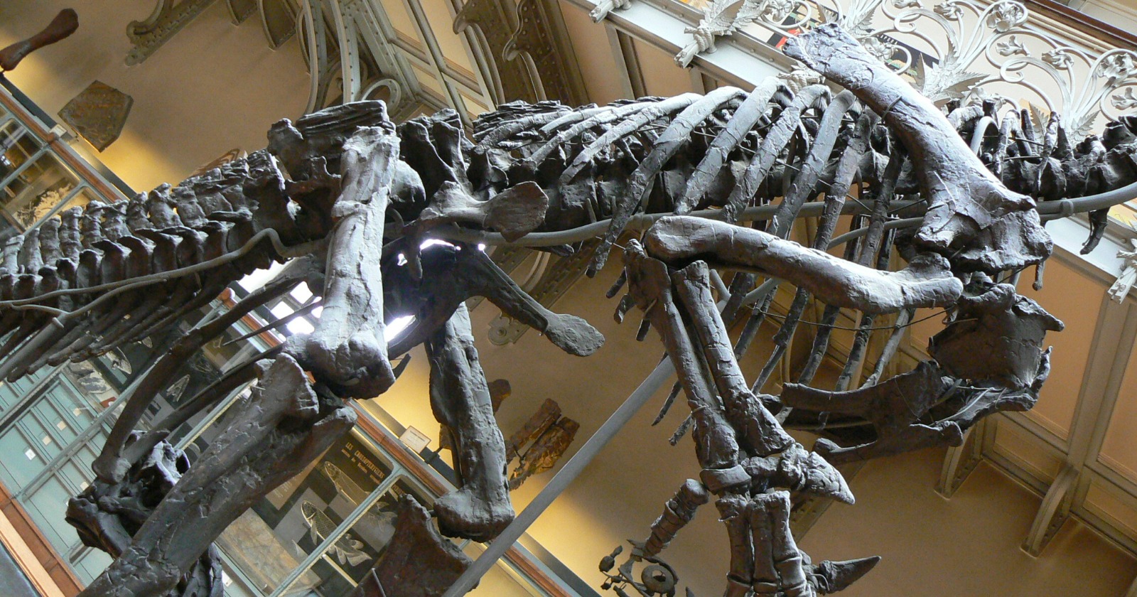 Initial Recorded Bone Response to a Dermal Ulcer Discovered in Iguanodon Femur