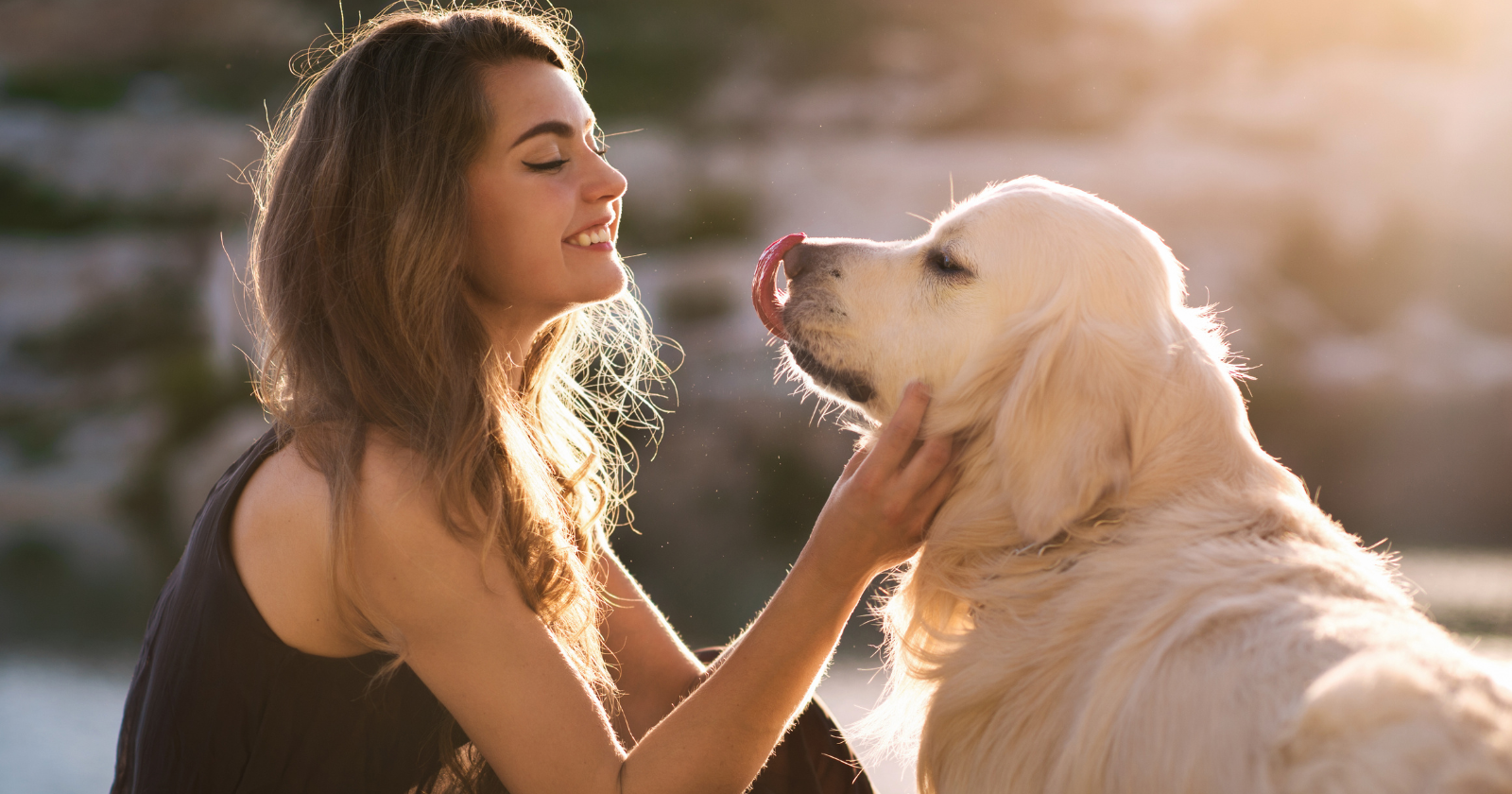 Japanese Researchers Discover Oxytocin Increase in Dogs and Their Owners During Eye Contact, In Contrast to Wolves