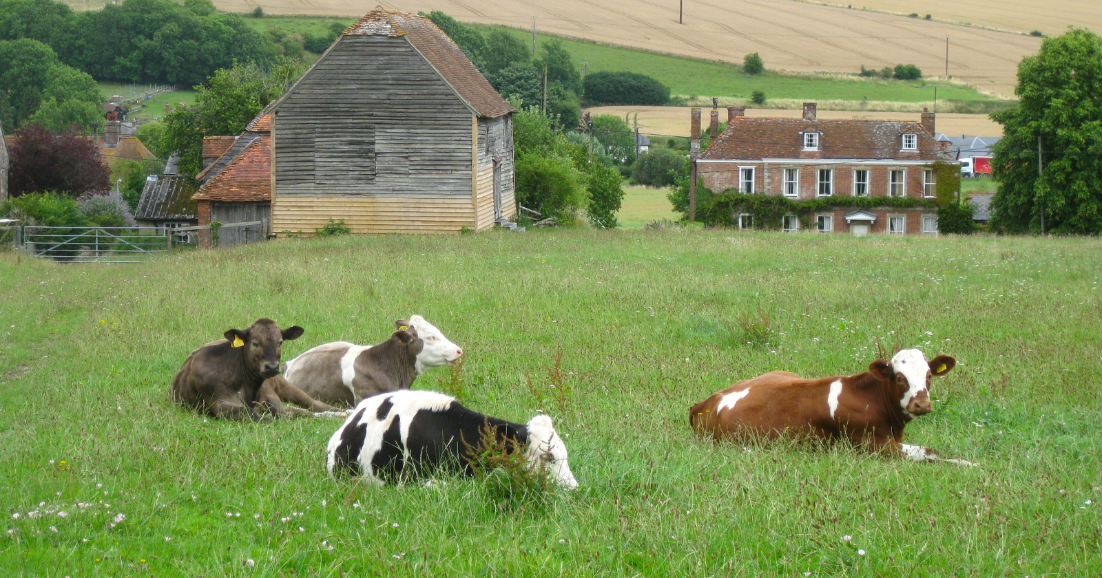 "Kentucky Farmer Declines $8 Million Offer for 250-Acre Farm, Stays Firm Despite Developer's 'Name Your Price' Suggestion"