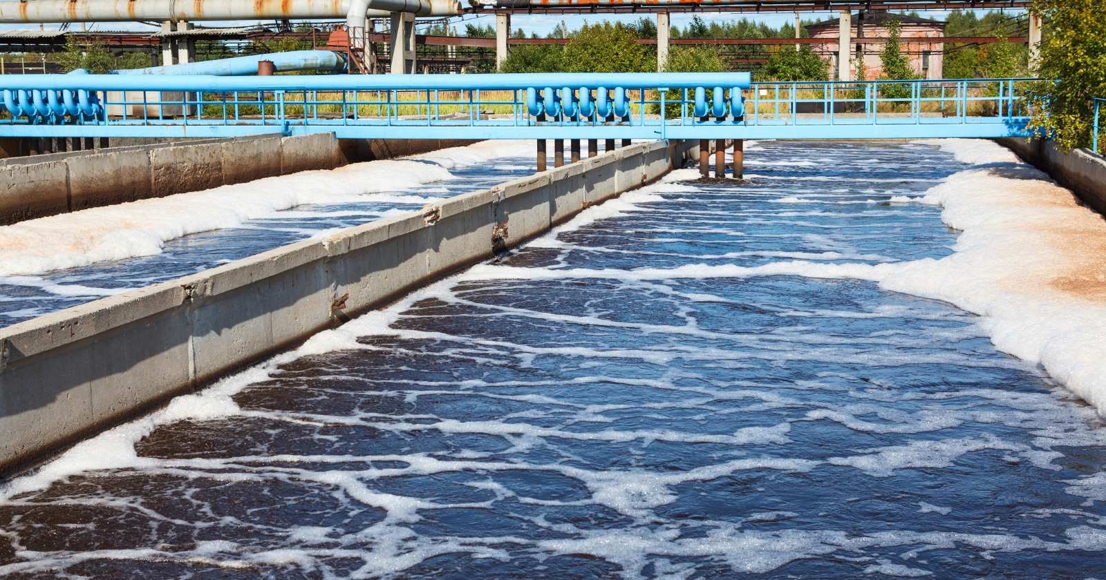 Milwaukee Transforms Wastewater-Treatment Microorganisms into Lawn Fertilizer Since 1926, Redirecting 10.5 Billion Pounds from Landfills