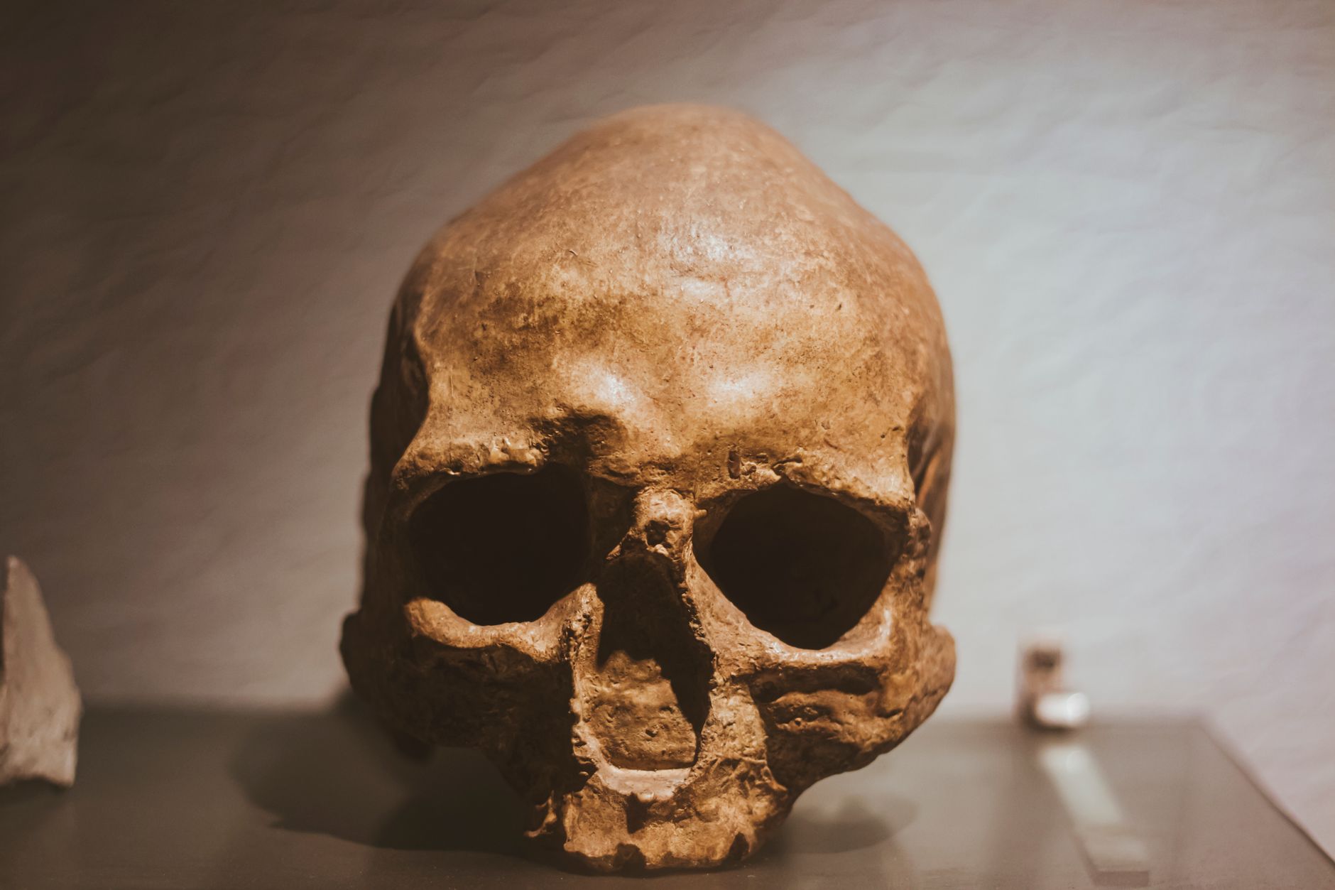 Mysterious Ancient Human Ancestors Mated with Forebears in Africa More Than 50,000 Years Ago: DNA Remnants Discovered in All Contemporary Populations Examined
