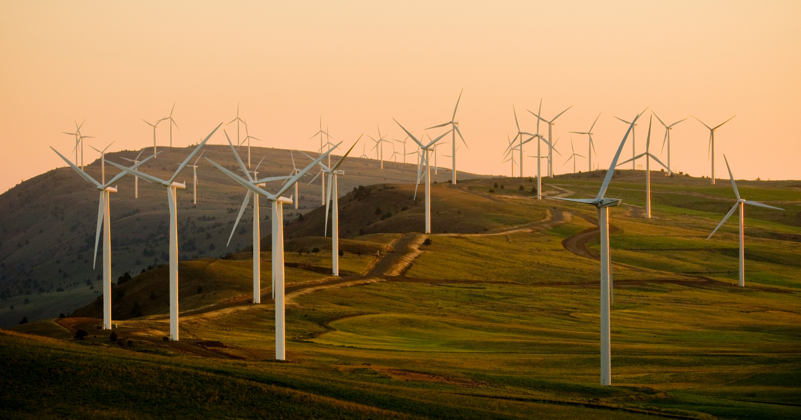 Pennsylvania Wind Farm Raises Blade Cut-in Speed on 12 Turbines to Decrease Bat Deaths; 32 Bat Remains Discovered During 75-Day Research