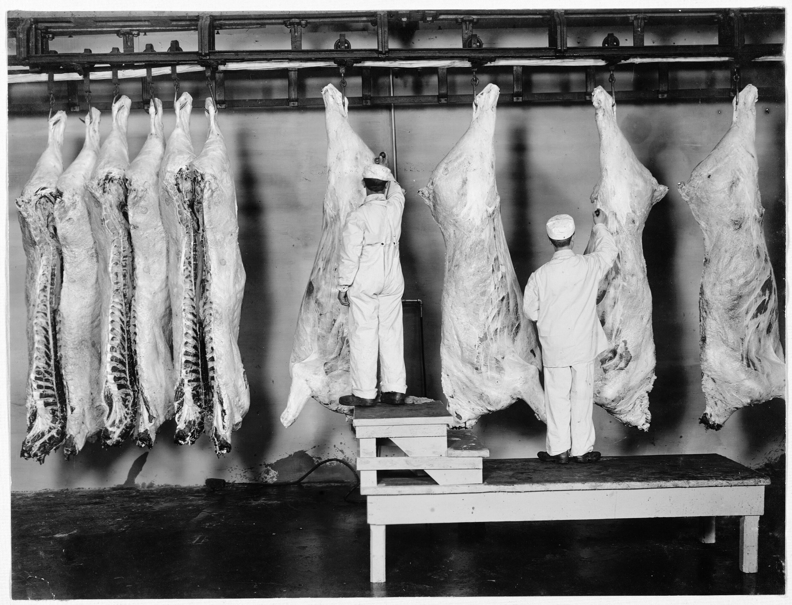 President Trump's Executive Order Broadens USDA Programs to Facilitate Inter-State Meat Sales While Upholding Food Safety Standards