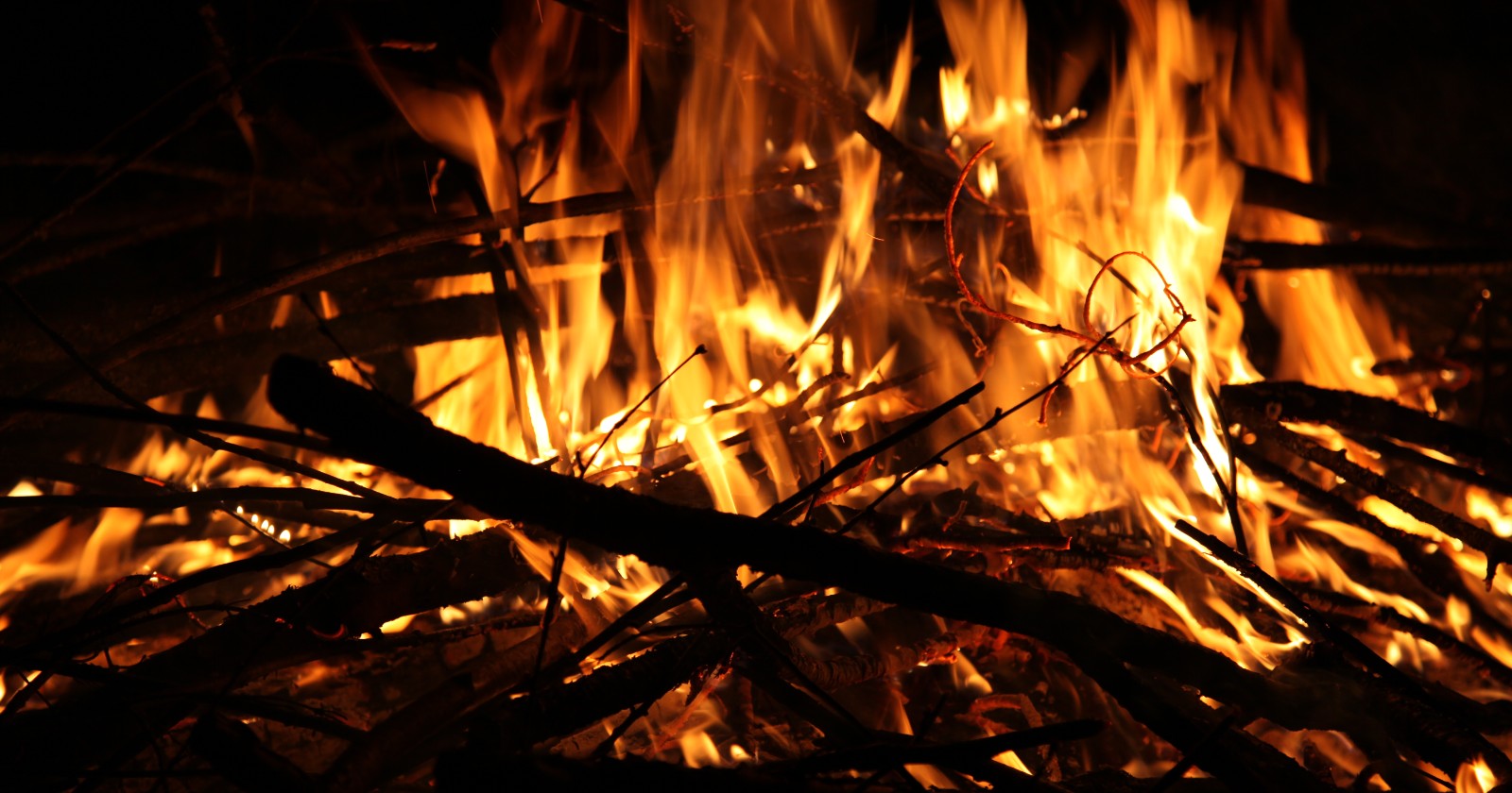 Researchers Discover That Firelight is Sufficiently Bright for Hand Reading and Propose Its Impact on the Development of Gesture and Speech