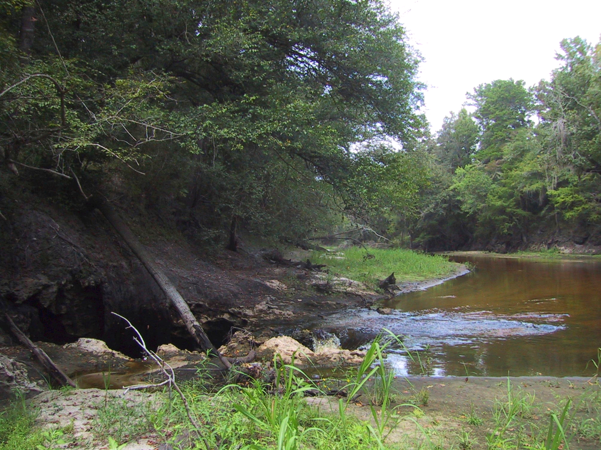 Researchers Follow Pigment from Porter Hole Sink to Wakulla Spring via Limestone Caves in Florida