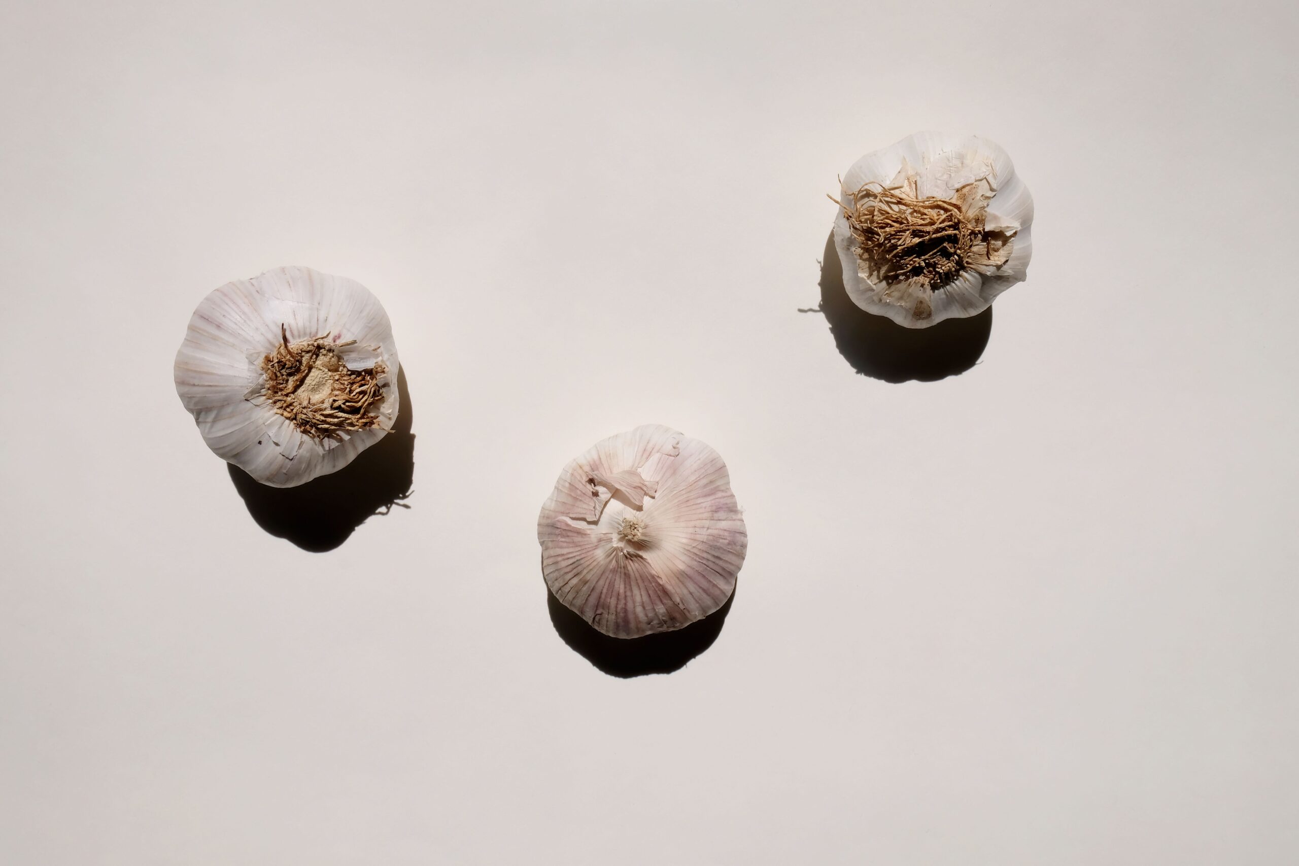 Researchers Recreate 1,000-Year-Old Eye Treatment from Bald's Leechbook That Eradicates Over 99.99% of S. aureus and Lowers MRSA by 90%