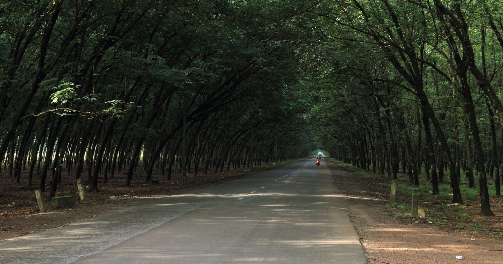 Rubber-Enhanced Bitumen Exhibits Improved UV and Thermal Resistance: Research from Australia