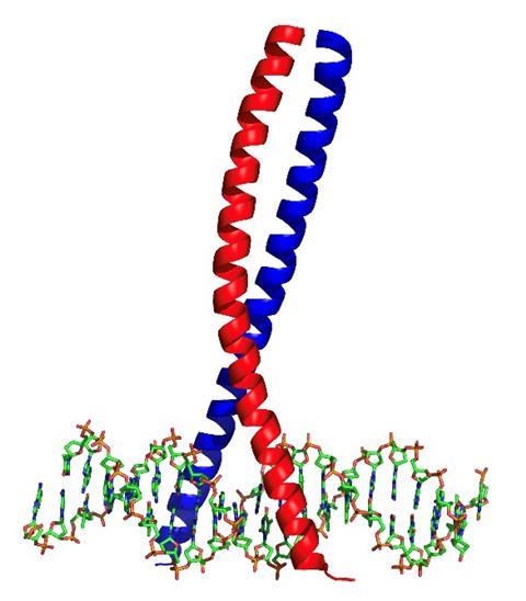 Screening Therapeutic Peptides Aiming at Difficult Proteins