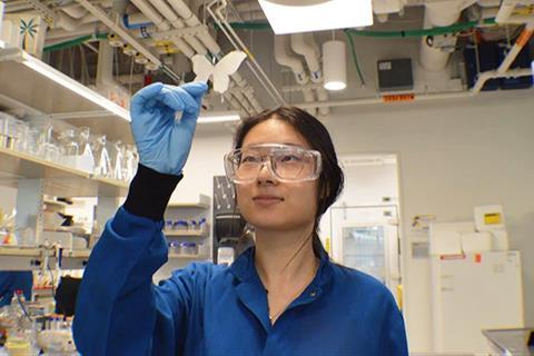 Structural Colors Inspired by Butterflies Could Substitute Synthetic Pigments