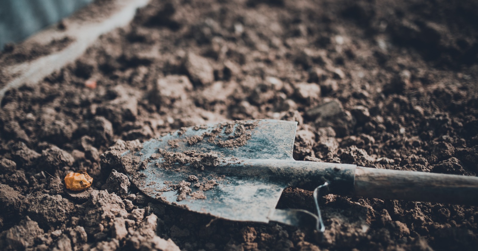 Swiss Study Uncovers Influence of Land Use on Textile Decomposition: Cotton Underwear Decays Quicker in Gardens Compared to Lawns