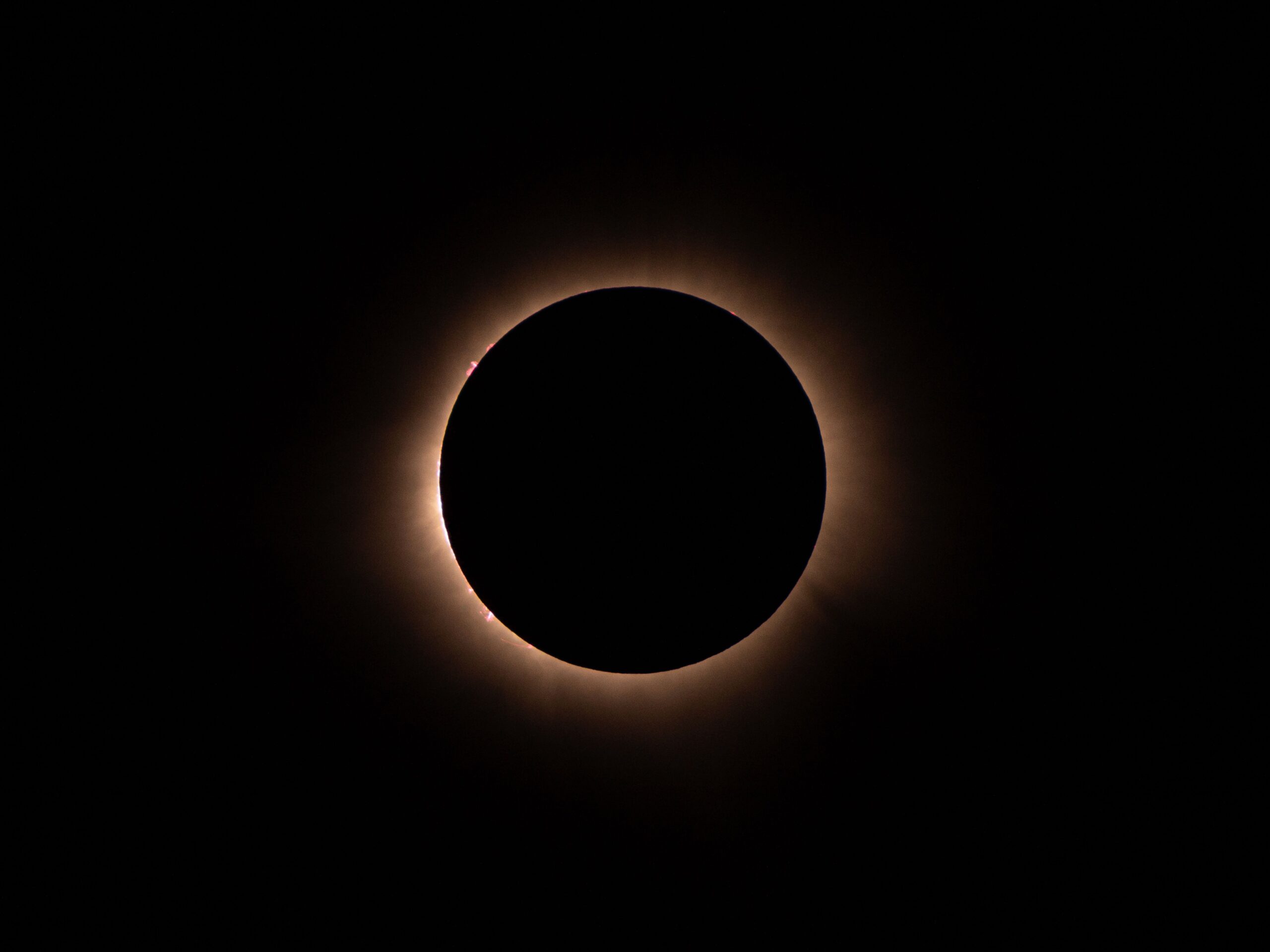 The Distinct Total Solar Eclipse: The Ideal Size and Distance Relationship of Earth's Sun and Moon Produces an Uncommon Event.