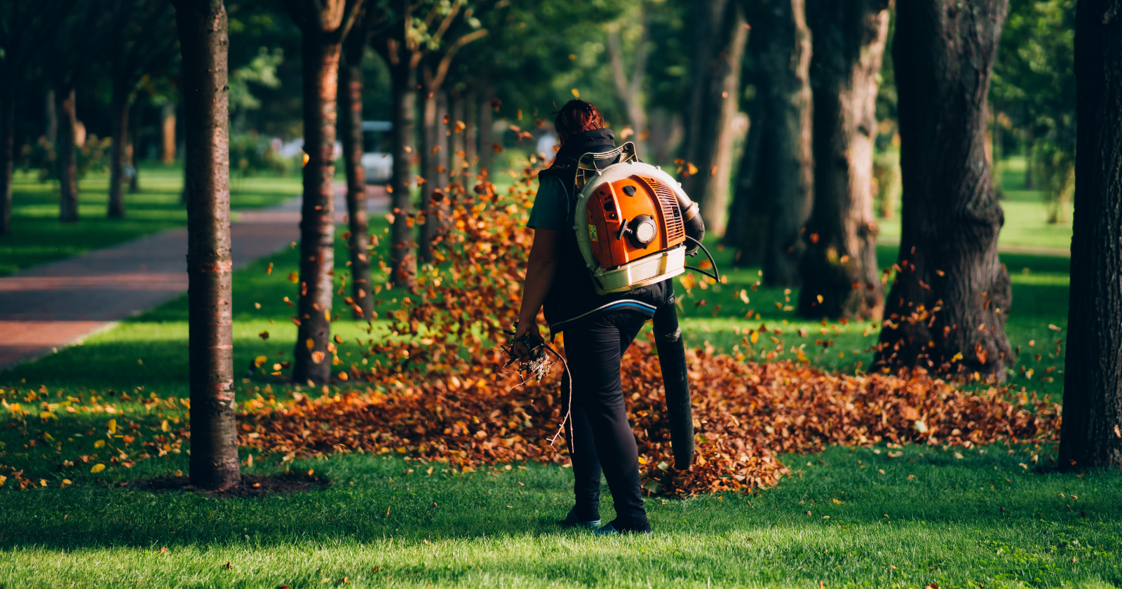 The Environmental Consequences of Using a Gas Leaf Blower for One Hour Are Equivalent to Driving a Toyota Camry for 1,100 Miles