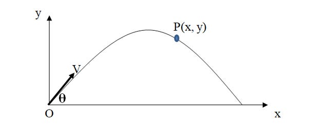 The Function of Quantum Measurement in Information Processing and Time Dynamics