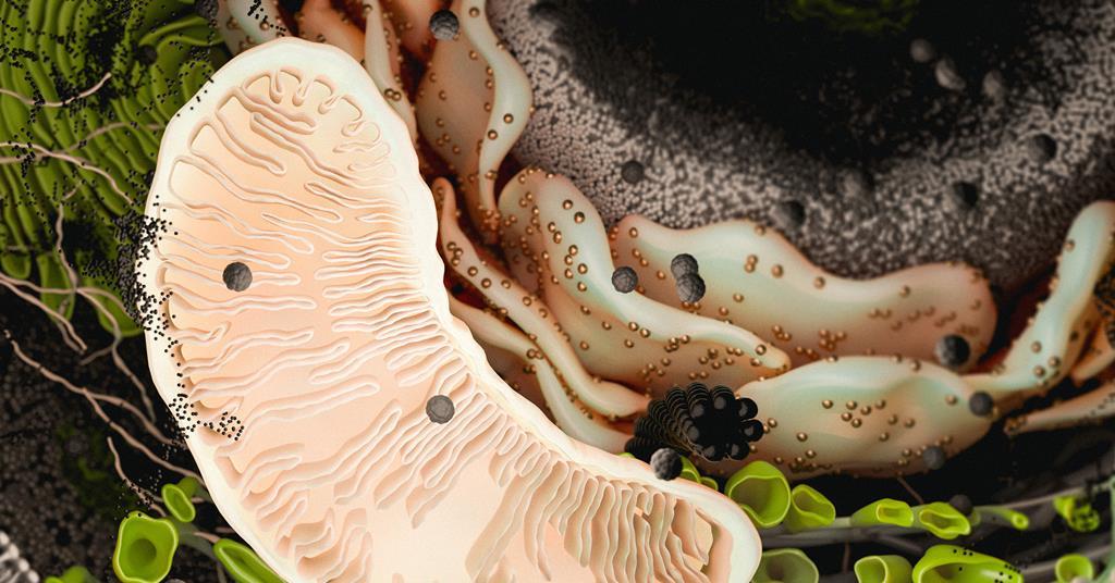 UK Funding Body Designates £66 Million for Advancing Innovative Methods in Mitochondrial Genome Engineering