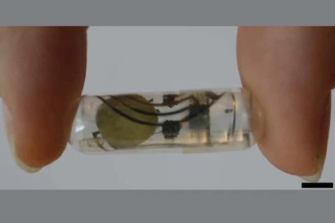 Biodegradable Batteries for Power Solutions in Ingestible Medical Devices