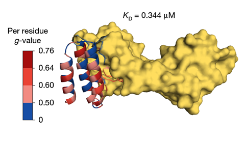 Monitoring AI-Generated Proteins Throughout Design to Discover Their Originators