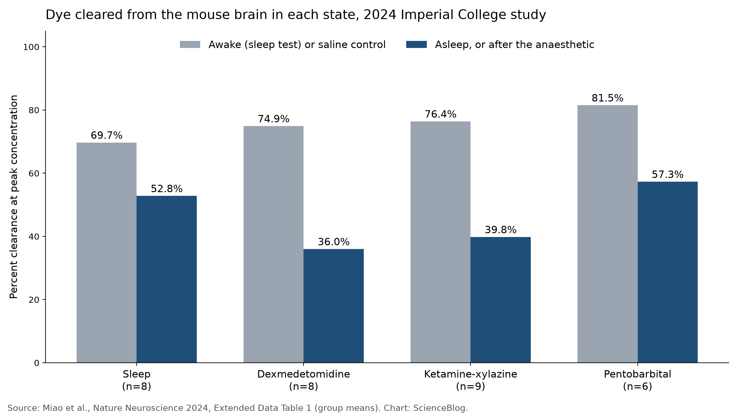 Research Indicates Variations in Amyloid and Cerebral Stain Elimination Rates Between Sleeping and Awake Mice