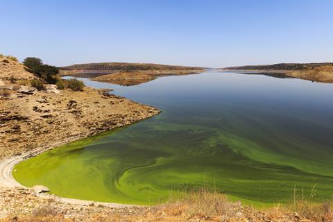 Uncommon N₂ Dimer Could Offer Understanding of the Worldwide Nitrogen Cycle