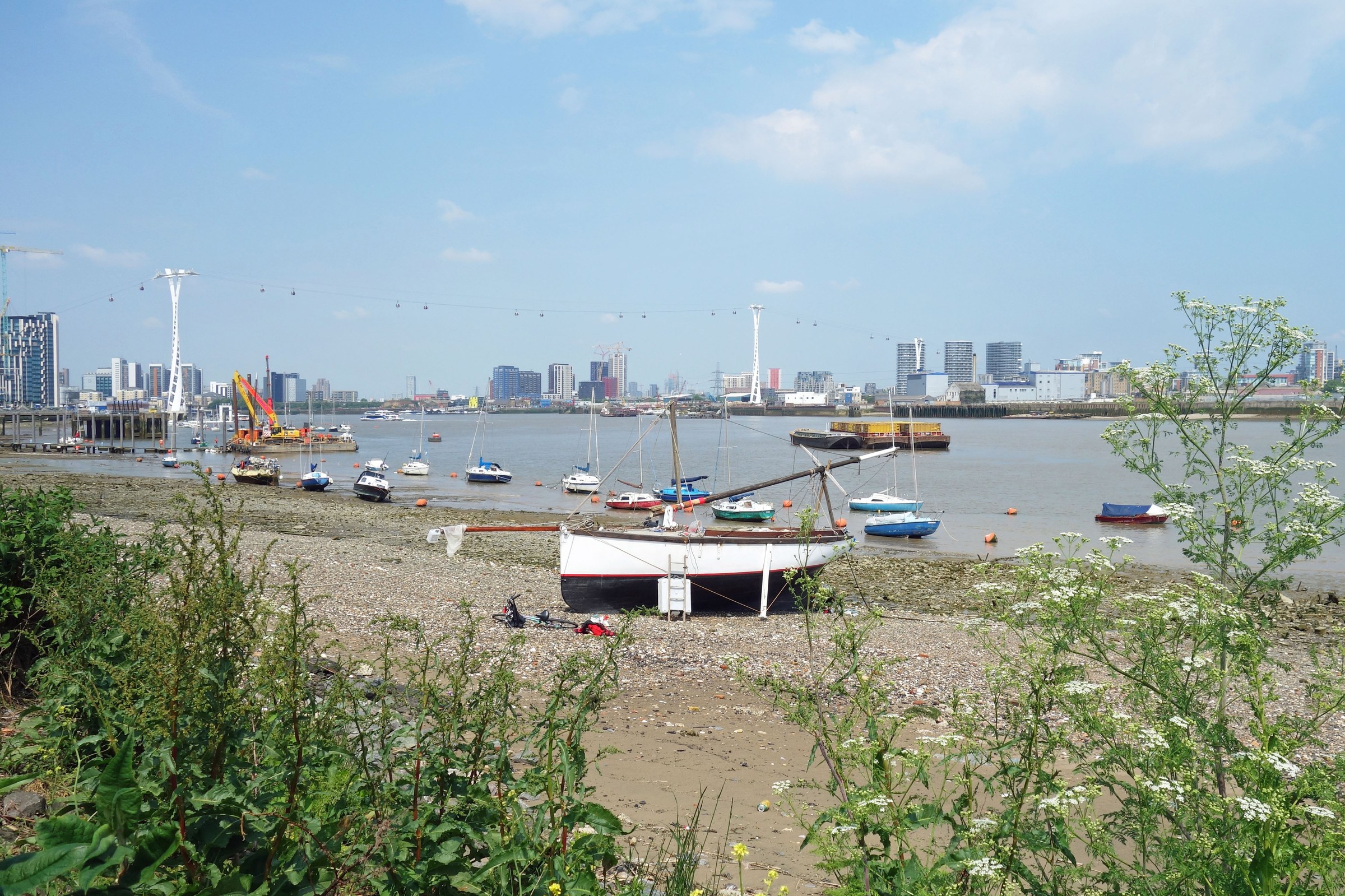 "ZSL's 2026 Report Indicates Restoration of Biodiversity in the Tidal Thames: From No Fish Species in 1957 to More than 115 Documented, Despite Decrease Since 1992"
